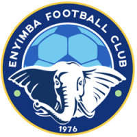 Enyimba International F.C. Logo